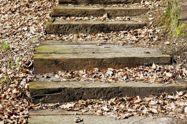 eski ahşap merdiven