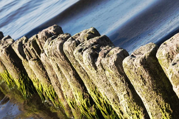 Vecchie frangiflutti nel mare a Kolobrzeg — Foto Stock