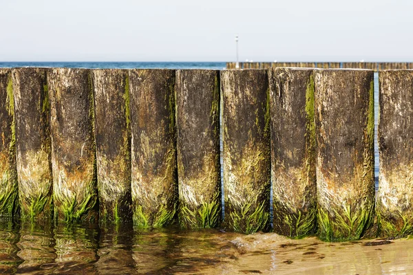 Wooden breakwaters at the edge of a beach — Stock Photo, Image