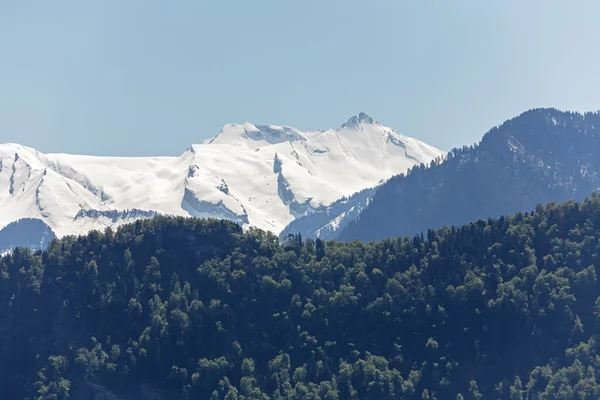 Bergtoppen in Zwitserland — Stockfoto