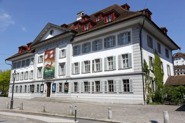 Lucerne, Doğal Tarih Müzesi — Stok fotoğraf