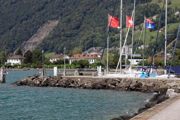 スイスのブルネン 2020年9月2日 マリーナインフラの一部としての石の防波堤 背景には木の坂道があります — ストック写真