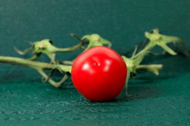 Yeşil arka planda bir domates ve bir dal var..