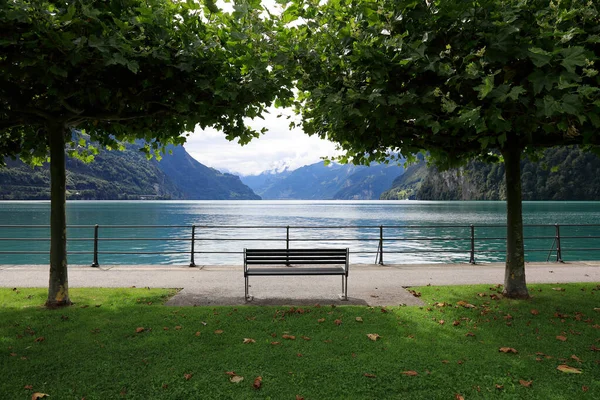 Banc Vide Situé Long Bord Lac Des Quatre Cantons Brunnen — Photo