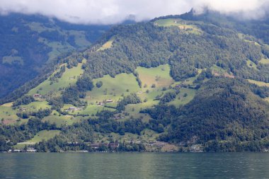 Lucerne Gölü 'nün yamacındaki çimenli ve orman arazisi İsviçre' de görülebilir..