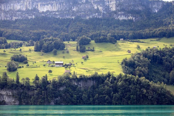 ルツェルン湖のほとりの森の真ん中にはいくつかの建物があります — ストック写真