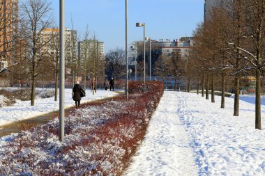 Varşova, Polonya - 18 Şubat 2021: Geniş yerleşim alanları ve park alanları, güneşli bir kış gününde burada görülebilen Goclaw ilçesinin bir özelliği.