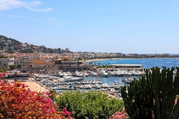 Cannes Frankrike Juli 2009 Marina Där Många Båtar Förtöjda Ligger — Stockfoto