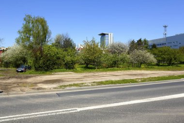 Goclaw bölgesindeki boş, dağınık çimenli bölge. Biraz daha ileride sık ağaçların büyüdüğünü görebilirsiniz..