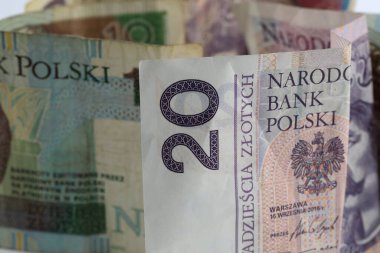 Yirmi ve on Polonya zlotisi değerinde buruşuk banknotlar. Para birimi PLN, kağıt para.
