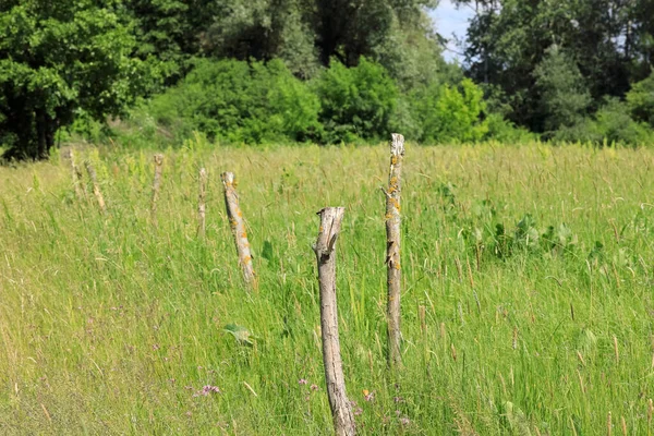 Una Vista Las Tierras Agrícolas Durante Verano Polonia Los Postes — Foto de Stock