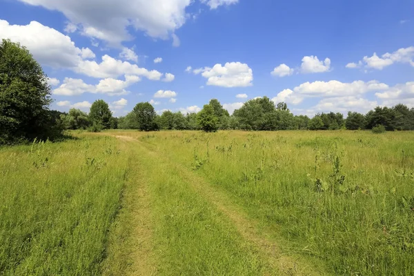 Una Vista Las Tierras Agrícolas Durante Verano Polonia Camino Tierra — Foto de Stock