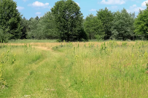 Una Vista Las Tierras Agrícolas Durante Verano Polonia Camino Tierra — Foto de Stock