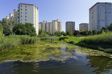 Varşova, Polonya - 3 Eylül 2021: Göl kenarındaki ağaçlar ve bitkiler arasında yer alan ve güneşli bir günde görülen birçok ailenin yaşadığı apartman binaları.