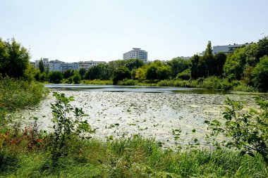 Varşova, Polonya - 3 Eylül 2021: Göl kenarındaki ağaçların ve bitkilerin arasında birçok ailenin yaşadığı apartman binaları güneşli bir günde burada görüldü..