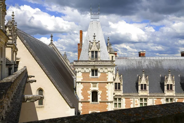 Blois Francia Giugno 2010 Castello Reale Blois Uno Dei Più — Foto Stock