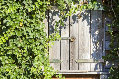 eski ahşap rustik pencere kepenkleri ile kapalı