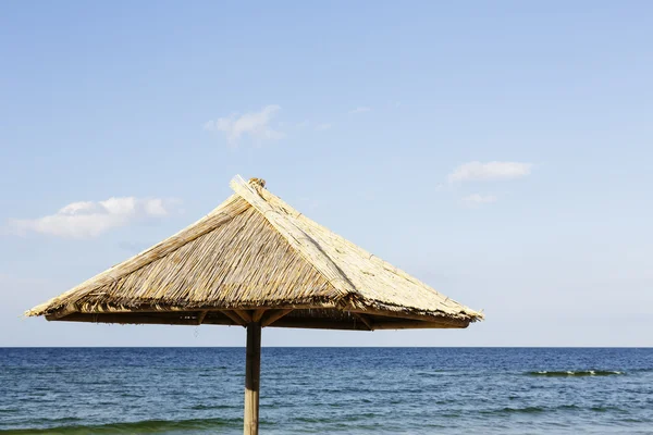 Solo umbrela playa —  Fotos de Stock