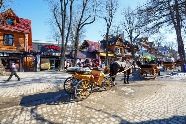 Cavalli a Krupowki, Zakopane, Polonia — Foto Stock