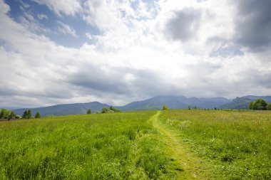 Zakopane yeşil alanlar