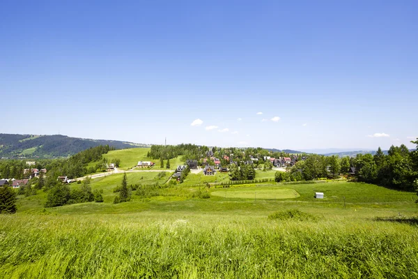 Aree verdi e case nella città di Zakopane — Foto Stock