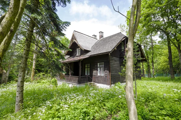 Wooden villa named Jadwiniowka I in Zakopane — Zdjęcie stockowe