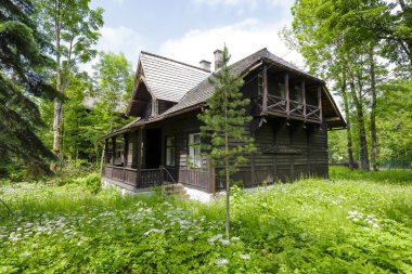 Wooden villa named Jadwiniowka I, Zakopane