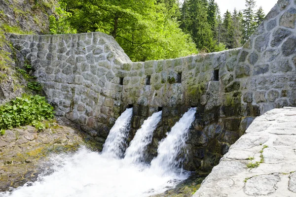 The Dam on a stream — Stock Photo, Image