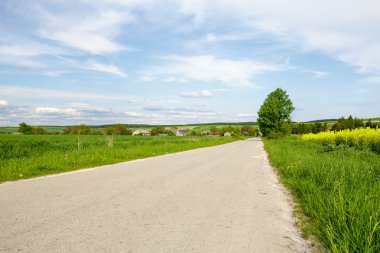 asfalt yol ile alanlar