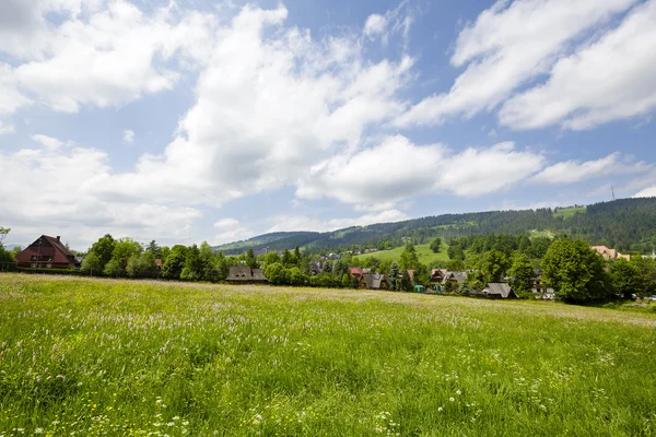 Meadows and fields in the town of Zakopane — Stock Photo, Image