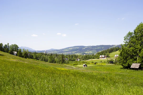 Prati, boschi e campi a Zakopane — Foto Stock