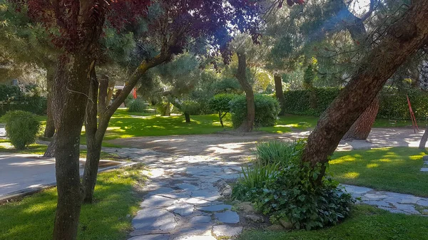 Camino Dentro Parque Lleno Árboles — Foto de Stock