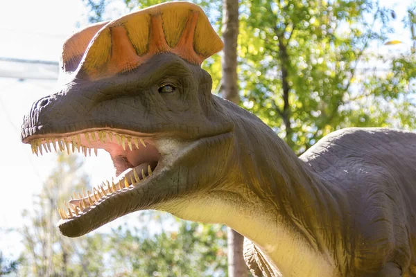 Bir dinozor etobur Coritusaurio