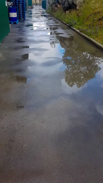 wet street full of puddles after a rain