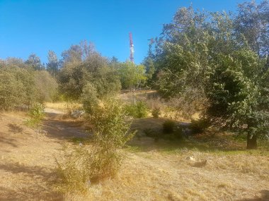 Kırsal alanda yol ya da patika