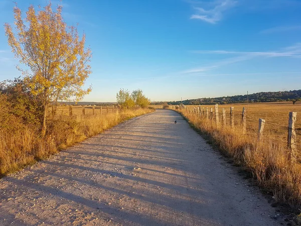 Ancho Camino Tierra Bordeado Por Una Valla —  Fotos de Stock