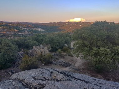Ağaçlar ve çalılarla kaplı ova manzarası