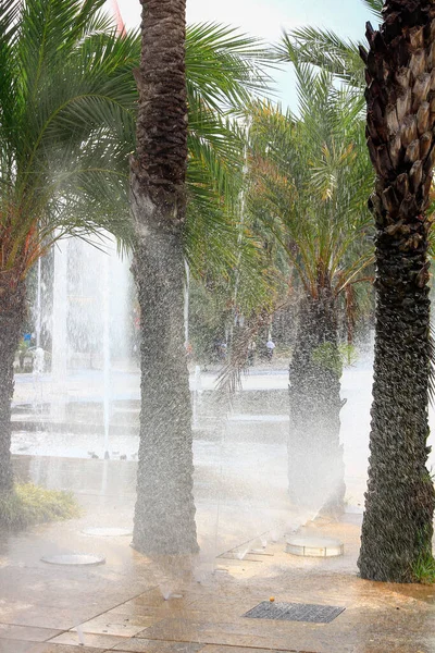 Fountains Jets Ground Refresh People — Stock Photo, Image