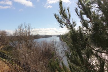 Celtic antik mezar kayaya oyulmuş