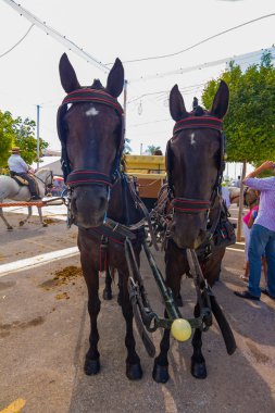 ANDUJAR,SPAIN - September, 6: Participants in the fair of the ho