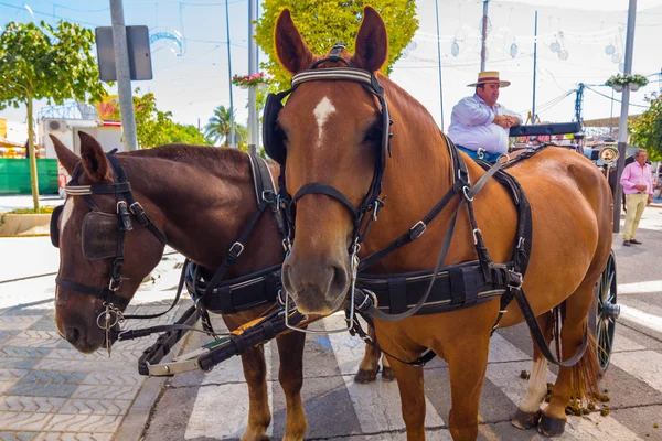 ANDUJAR,SPAIN - September, 6: Participants in the fair of the ho — Stock Photo, Image