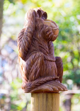 kulakları kapsayan maymun