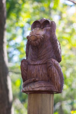 kulakları kapsayan maymun