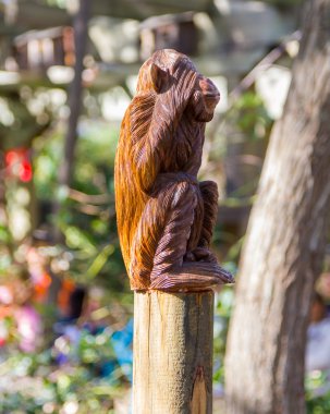 gözlerini kapsayan maymun