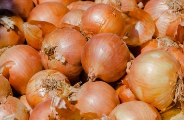 Allium cepa arka plan soğan ile