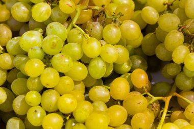 Vitis arka plan ile tatlı üzüm demet