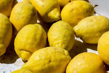 narenciye arka limon tam