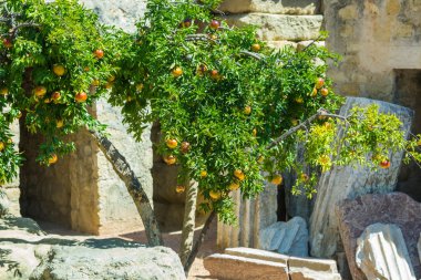 Garnet arbour with grenades and leaves
