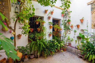 Şehir çiçeklerle dekore edilmiş tipik Endülüs avlusu 