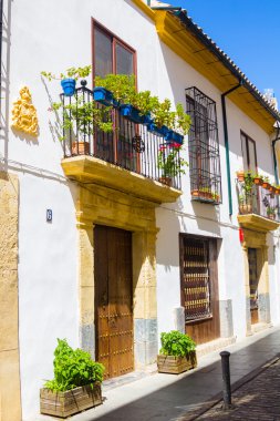 Sokakları çiçeklerle süslenmiş ve çubuklu windows tipik bir